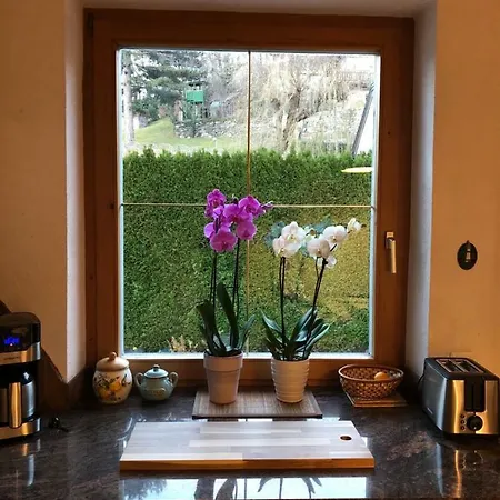 Ida * 因斯布鲁克